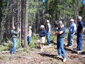 CTIA Classroom | Colorado Timber Industry Association