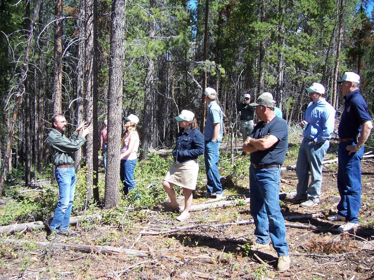 Colorado Timber Association | Partners for Healthy Forests