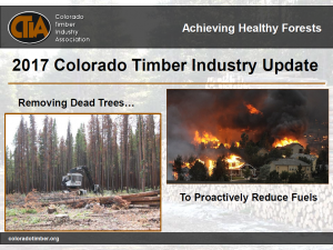 2017 Colorado Timber Industry Update PowerPoint | Colorado Timber Industry Association